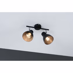 Paulmann Davy Spot d'éclairage de surface Noir E27
