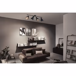 Paulmann Davy Spot d'éclairage de surface Noir E27