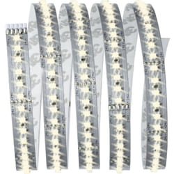 Paulmann - MaxLED 1000 70585 Ruban led (Base) avec connecteur mâle 24 v 1.5 m blanc chaud 1 pc(s)