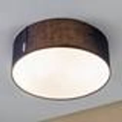 Paulmann 709.51 éclairage de plafond Bleu E27