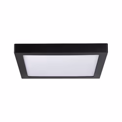 Paulmann PL71026, 1 ampoule(s), LED, 4000 K, IP20, Noir
