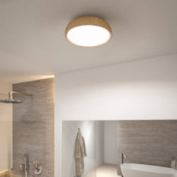 Ampoule plafonnier LED Paulmann Oka IP44 White Switch 230V 950lm