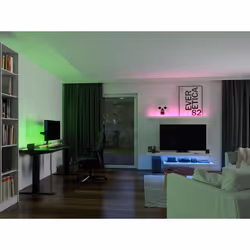 Paulmann 78864 LED lumineuse Ruban lumineux universel Intérieure Fluorescent 22 W G 3000 mm