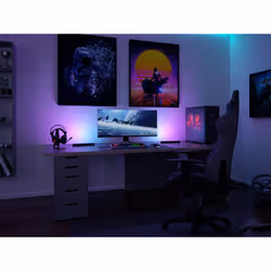Paulmann Dynamic RGB Guirlande lumineuse décorative Noir LED 2 W