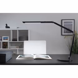 Paulmann 789.12 lampe de table 10,6 W LED Noir