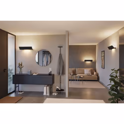 Paulmann Ranva Noir Adapté à une utilisation à l'intérieur 13 W