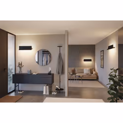 Paulmann Stine Noir Adapté à une utilisation à l'intérieur 17 W