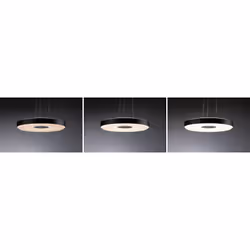 Paulmann Puric Pane éclairage en suspension Support flexible LED Noir