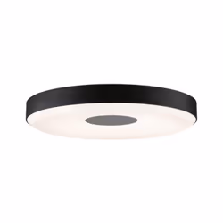 Paulmann Puric Pane, 1 ampoule(s), LED, 1600 lm, Noir, Gris