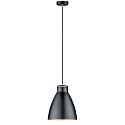 Paulmann 79609 éclairage de plafond Noir, Cuivre E27