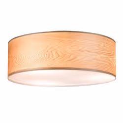 Paulmann 79650 éclairage de plafond Bois E27