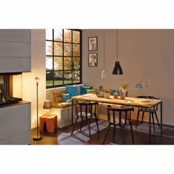 Paulmann 79655 éclairage de plafond Cuivre, Vert E27