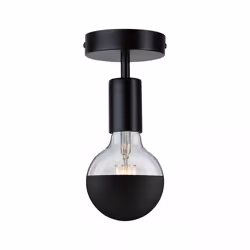 Paulmann Malja éclairage de plafond Noir E27 LED