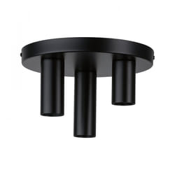 Paulmann Skogen éclairage de plafond Noir E27 LED
