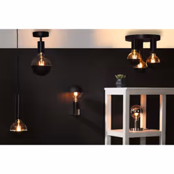 Paulmann Skogen éclairage de plafond Noir E27 LED