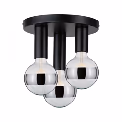 Paulmann Skogen éclairage de plafond Noir E27 LED