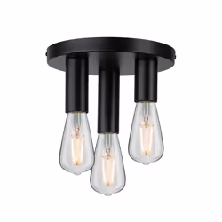 Paulmann Skogen éclairage de plafond Noir E27 LED - Vue supplémentaire 6