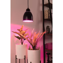 Paulmann Hilla éclairage en suspension Support flexible E27 Noir