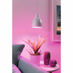 Paulmann Hilla éclairage en suspension Support flexible E27 Blanc