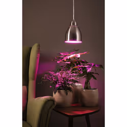 Paulmann Hilla éclairage en suspension Support flexible E27 LED Argent