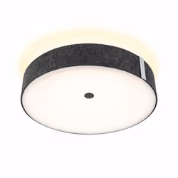 Paulmann 79986, 1 ampoule(s), LED, 2700 K, 2300 lm, IP20, Anthracite