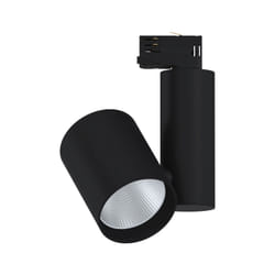 Paulmann 91342 spot d'éclairage Spot lumineux sur rail Noir Ampoule(s) non remplaçable(s) LED 33 W F