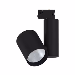 Paulmann 91345, Spot lumineux sur rail, Ampoule(s) non remplaçable(s), 1 ampoule(s), LED, 4000 K, Noir