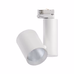 Paulmann 91350, Spot lumineux sur rail, Ampoule(s) non remplaçable(s), 1 ampoule(s), LED, 4000 K, Blanc