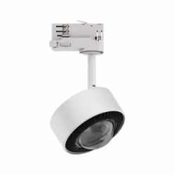 Paulmann Aldan Spot lumineux sur rail Noir, Blanc LED F