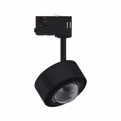 Paulmann Aldan Spot lumineux sur rail Noir, Chrome LED F