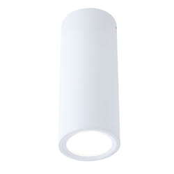 Paulmann Barrel éclairage de plafond LED 6 W G