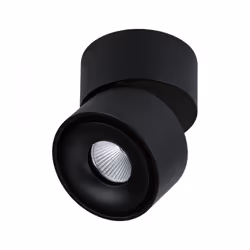 Paulmann 93371 spot d'éclairage Spot d'éclairage de surface Noir LED F