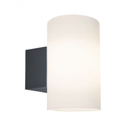 Paulmann 941.86 Éclairage mural extérieur E27 LED 15 W Anthracite