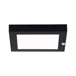 Paulmann 942.54 Éclairage de mural/de plafond extérieur LED 100 W Anthracite