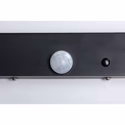 Paulmann 942.55 Éclairage de mural/de plafond extérieur LED 120 W Anthracite