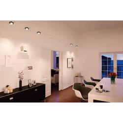 Paulmann Mac II Spot lumineux sur rail Noir GU5.3 LED
