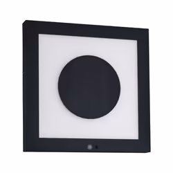 Paulmann Taija Éclairage mural extérieur LED Anthracite
