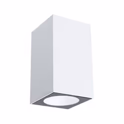 Paulmann Flame Éclairage mural extérieur LED Blanc E