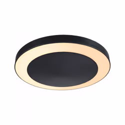 Paulmann Circula, 1 ampoule(s), LED, 2200 K, 880 lm, IP44, Anthracite