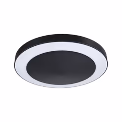Paulmann 94526, Éclairage de plafond extérieur, Anthracite, Plastique, Acier inoxydable, IP44, Entrée, II