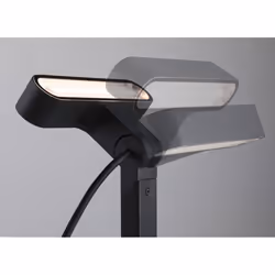 Paulmann Plug & Shine Ito Éclairage au sol extérieur LED 7,5 W F