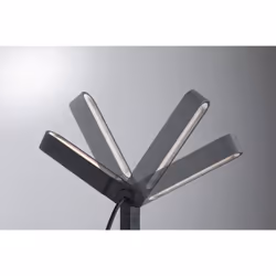Paulmann Plug & Shine Ito Éclairage au sol extérieur LED 7,5 W F
