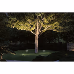 Paulmann Plug & Shine Éclairage au sol extérieur LED Noir