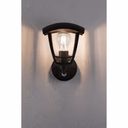Paulmann 94647 éclairage extérieur Éclairage mural extérieur E27 Noir