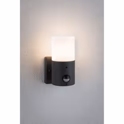 Paulmann 94648 éclairage extérieur Éclairage mural extérieur E27 Gris - Vue supplémentaire 4
