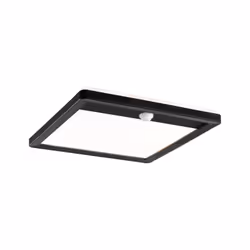 Paulmann 94665, Carré, Plafond, Noir, Plastique, IP44, II