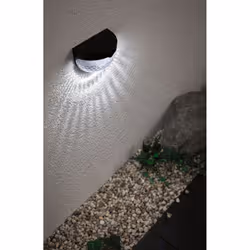 Paulmann Mimmo Éclairage mural extérieur LED Noir