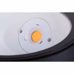 Paulmann Ocos Éclairage au sol extérieur Ampoule(s) non remplaçable(s) LED G