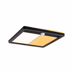 Paulmann 94709, Éclairage de mural/de plafond extérieur, Noir, Plastique, IP44, Entrée, Façade, II