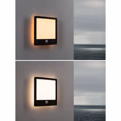 Paulmann 94709 éclairage extérieur Éclairage de mural/de plafond extérieur Ampoule(s) non remplaçable(s) LED Noir E